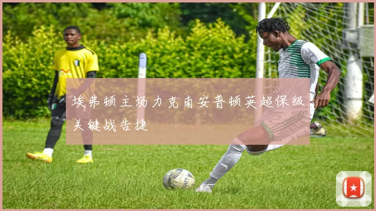 埃弗顿主场力克南安普顿英超保级关键战告捷