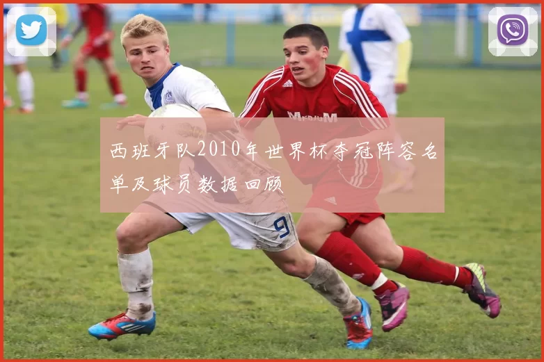 西班牙队2010年世界杯夺冠阵容名单及球员数据回顾