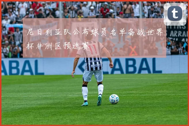 尼日利亚队公布球员名单备战世界杯非洲区预选赛