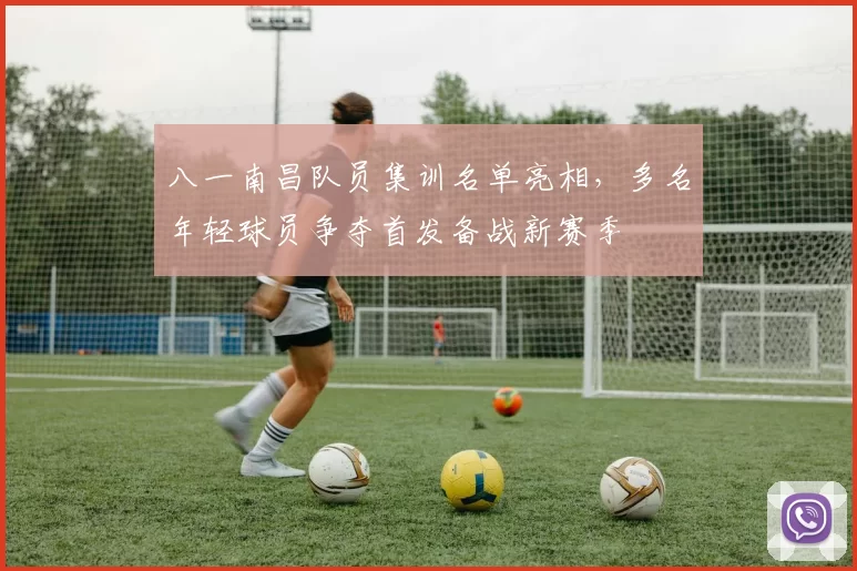 八一南昌队员集训名单亮相，多名年轻球员争夺首发备战新赛季